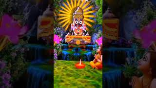 He kala saanta prabhu jagannatha 🙏🏼🙏🏼jay Jagannath 🙏🏼⭕❗⭕🙏🏼 [upl. by Ajat]