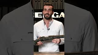 The PERFECT Rifle for Smaller Shooters Bergara [upl. by Adnole904]