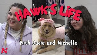 Hawks Life Episode 3 [upl. by Kina]