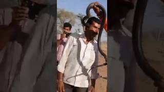 jodhpur man dies after snake bite [upl. by Alexandro]