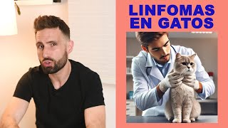 Linfomas en gatos [upl. by De Witt212]