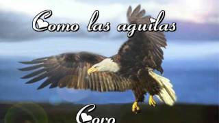 Como las aguilasCoro [upl. by Thorncombe693]