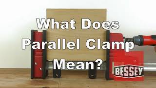 BESSEY FAQs  Parallel FAQ 30 Sec Short [upl. by Nisse]