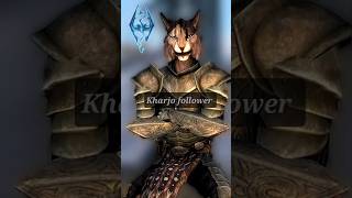 Skyrim Khajiit follower skyrim game khajiit [upl. by Ocram]