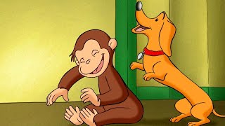 Curioso Come George 🐵 Giochi di apprendimento 🐵Cartoni per Bambini [upl. by Anneliese]