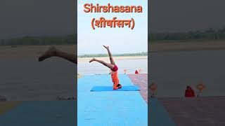 how to do shirshasana with Hatha Yoga guru [upl. by Ximena]