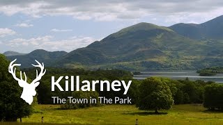 Visit Killarney  Official Destination Video [upl. by Anton]