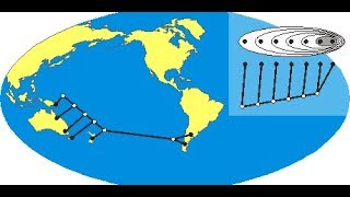 Analisis de endemismos por Parcimonia PAE TNT [upl. by Nnylsoj439]