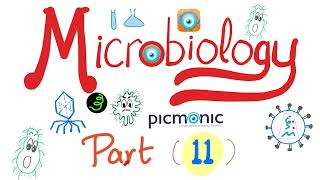 Microbiology with Picmonic  Shigella EHEC HUS Yersinia enterocolitica amp pestis  Part 11 [upl. by Aarika741]