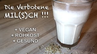 Vegan amp Rohkost Die verbotene Milch Für wenig Geld in wenigen Schritten selbstgemacht [upl. by Sedgewinn]