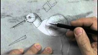 Shape Relationships in Drawing with David Kitler [upl. by Warner907]