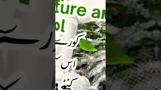 Defrosting effects on Crops and its Control viralvideo agricuture agriculturefarming shorts [upl. by Muna424]