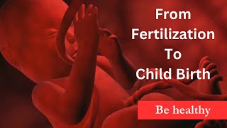 From Fertilization To Child Birth  Medical Animation By Be healthy  2024 [upl. by Sirred]