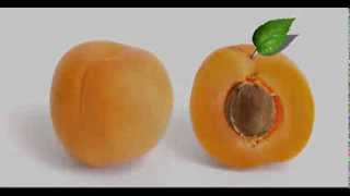 Apricot Kernel oil Benefits [upl. by Nerual]