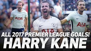 HARRY KANE  ALL 39 PREMIER LEAGUE GOALS IN 2017 [upl. by Harwell]