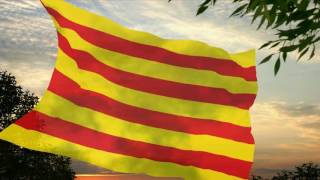 Flag and anthem of Catalonia [upl. by Sprung120]