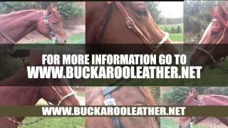 Steve Lantvit Horsemanship Buckaroo Leather Commercial [upl. by Adnic]