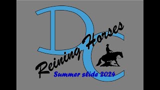 DC SUMMER SLIDE 2024 [upl. by Yruam]