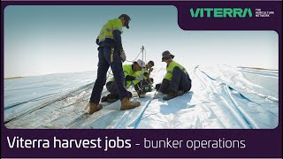 Viterra Australia harvest jobs  what is bunker operations [upl. by Erdied]