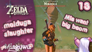 【Breath of the Wild】molduga slaughter【Vtuber】【13】 [upl. by Aihsenyt424]