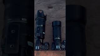 nikon D5500 Vs D5300 70200MM F28 Vs 70300MM Afp nikonphotography [upl. by Dahaf]