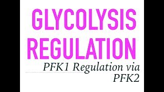 Glycolysis regulation [upl. by Anaujnas802]