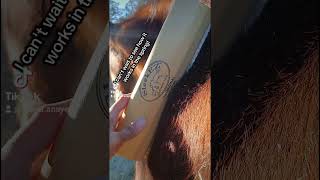 SleekEZ deshedding brush horse grooming sleekez deshedding tool asmr [upl. by Anetta156]