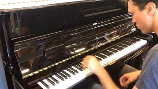 Sauter 122 Meisterklasse  Chopin Nocturne No20 CSharp Minor [upl. by Nnahgem]