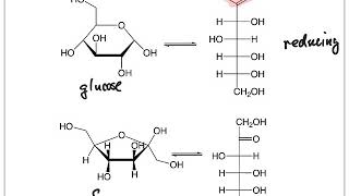 Reducing and Nonreducing Sugars [upl. by Nohshan]