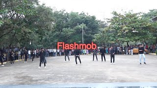 Flashmob  BVRIT  NARSAPUR [upl. by Seibold532]