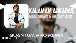 Kalamam Arkadaş Git  Nebi Demir amp Murat Boz  Quantum Pro Remix [upl. by Lladnek362]