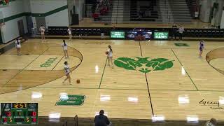 Badin vs Bellbrook High School Girls Freshman Basketball [upl. by Ahsikcin]