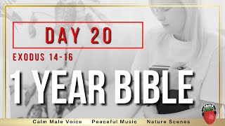 Day 20  NIV Exodus 14  16  1 Year Bible Reading Plan  Peaceful Scripture Audio Bible [upl. by Morgana]