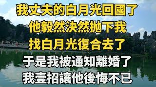 我丈夫的白月光回國了。他毅然決然抛下我找白月光複合去了。于是，我被通知離婚了。接到消息的時候，懷孕三個月的我正獨自在醫院做孕檢。【三更燈火】圍爐夜話花開富貴情感故事治癒人生深夜淺談爽文 [upl. by Yecies943]