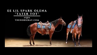 quotMeet Tator Totquot Registered Bay AQHA Gelding For Sale RopingLessonRanchTrail [upl. by Namyaw]