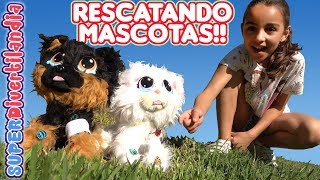 🐱 RESCATANDO MASCOTAS 🐶 Rescue Runts gato perro y unicornio [upl. by Salomo]