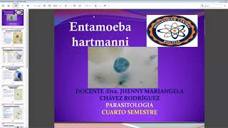 Entamoeba hartmanni [upl. by Earaj306]