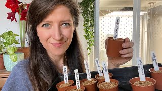 Sowing Chilli Seeds  Tips Grow Lights and Set Up  Homegrown Garden [upl. by Anitaf946]