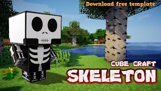 Minecraft Skeleton Cube Craft [upl. by Iridis]