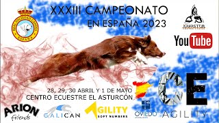 CAMPEONATO EN ESPAÃ‘A RSCE 2023  Domingo 30 Abril  RING 2 [upl. by Enetsirk]