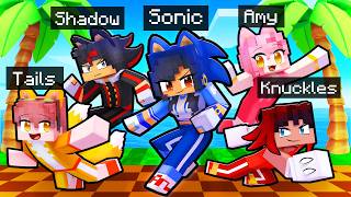 10 Friends on one SONIC BLOCK [upl. by Ainnat]