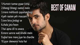 Best Of Sanam  Sanam Puri Song  Sanam Puri Best Bollywood Songs 2023 [upl. by Silera535]