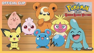 Tiny Pokémon  Pokémon DP Sinnoh League Victors  Official Clip [upl. by Eaneg]