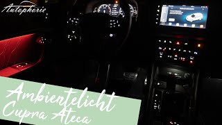 Ambientebeleuchtung im 2022 CUPRA Ateca POVNightDrive 4K  Autophorie Extra [upl. by Idell]