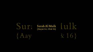 Surah Al Mulk Aayat 14 15 and 16  Quran Recitation  BY ZH  2024 [upl. by Nyltac541]