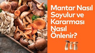 Mantar Nasıl Soyulur ve Kararması Nasıl Önlenir [upl. by Ayotas883]