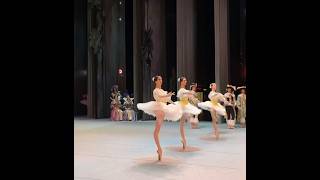 Bolshoi  thanks to Elisabetta Nalin 💗 sleepingbeauty [upl. by Shaw637]