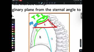 ANATOMY L1 Mediastinum amp Pericardium Part1  CVS [upl. by Shuma763]