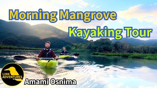 Morning mangrove is always amazing Amami Oshima Kayaking Tour [upl. by Ramon]