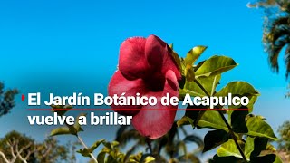 ¡El Jardín Botánico de Acapulco vuelve a nacer Celebra la vida y la naturaleza [upl. by Omissam76]